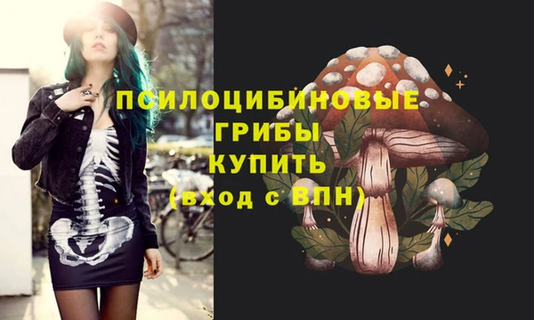 крисы Алзамай