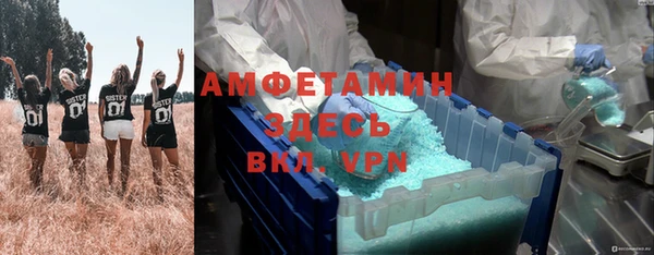 крисы Алзамай